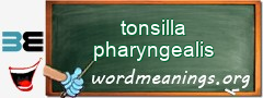 WordMeaning blackboard for tonsilla pharyngealis